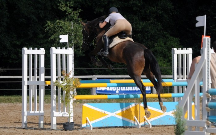 Photo de profil de mel.rambaud