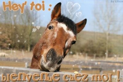 Photo de profil de ambrase900