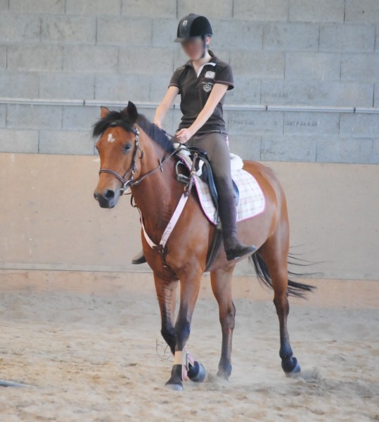 Photo de profil de thenosica