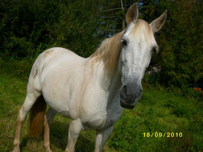 Photo de profil de atchoum88