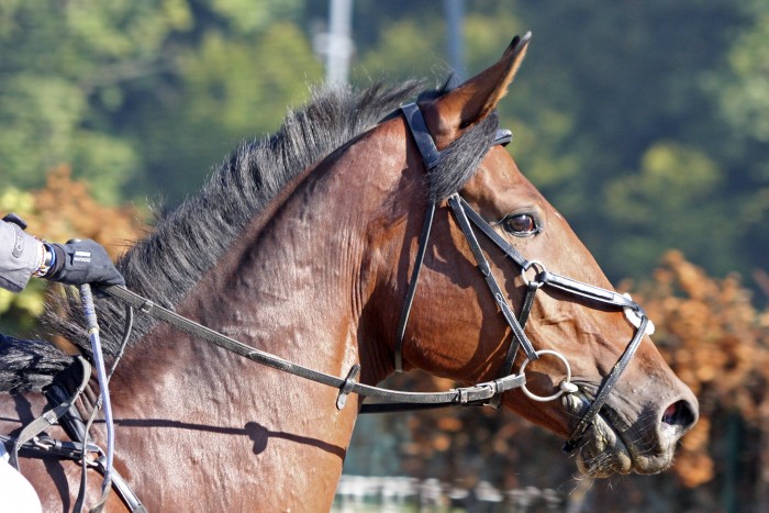 Photo de profil de okjuly