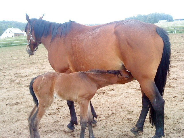 Photo de profil de patrice02