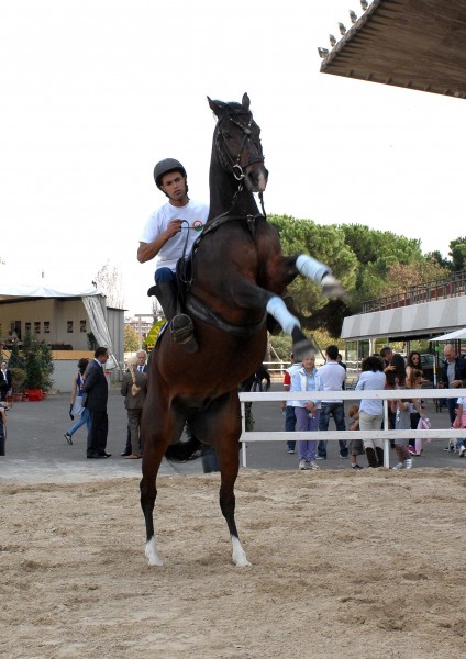 Photo de profil de hassan83