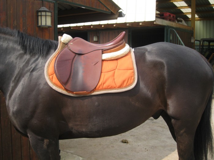 Photo de profil de celiarg