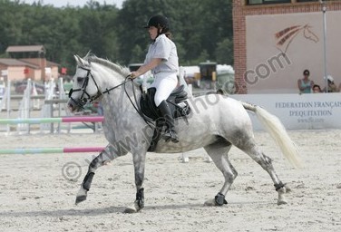 Photo de profil de chacha12