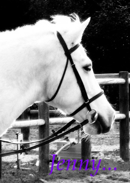 Photo de profil de lauradeschenes