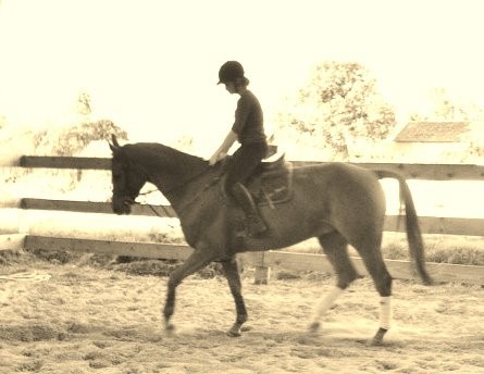 Photo de profil de hizllo