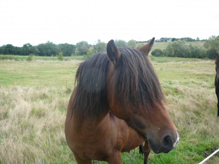 Photo de profil de reveemeraude