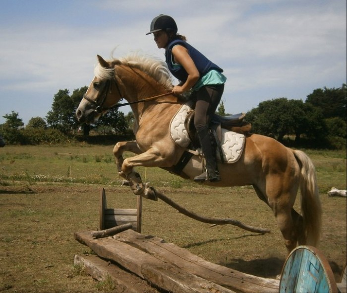 Photo de profil de jeanne13