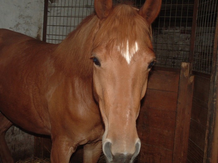 Photo de profil de amelieduhalage