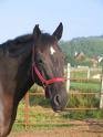 Photo de profil de clara58