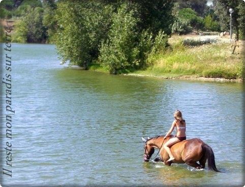 Photo de profil de tiky03