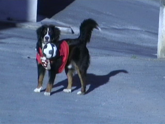 Photo de profil de djenitara