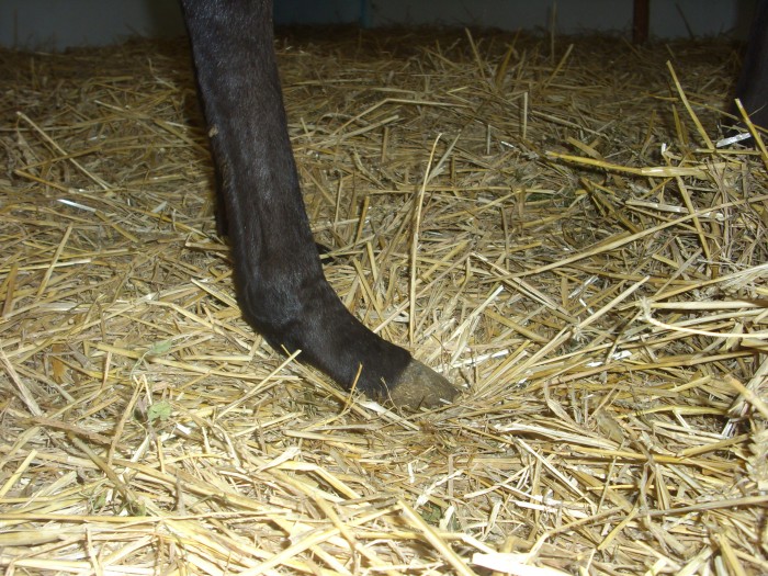 Photo de profil de lolopopo