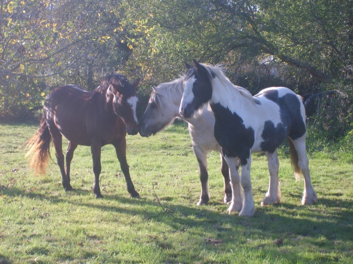 Photo de profil de megan36