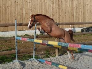 Photo de profil de mael71