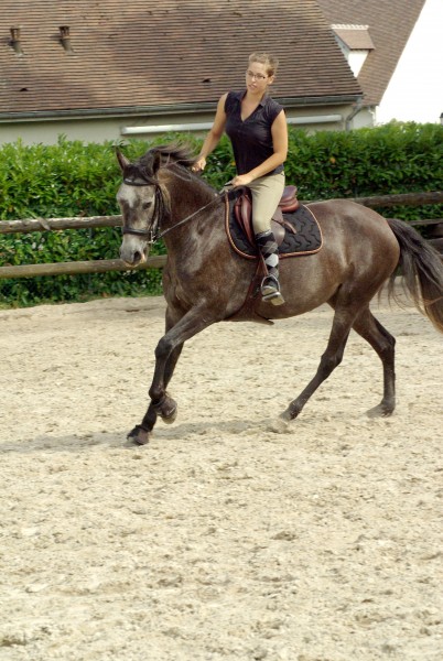 Photo de profil de sevillana
