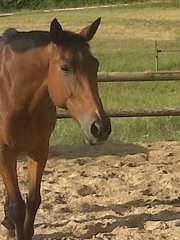 Photo de profil de didi17800