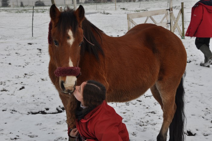 Photo de profil de mon_poney_julie