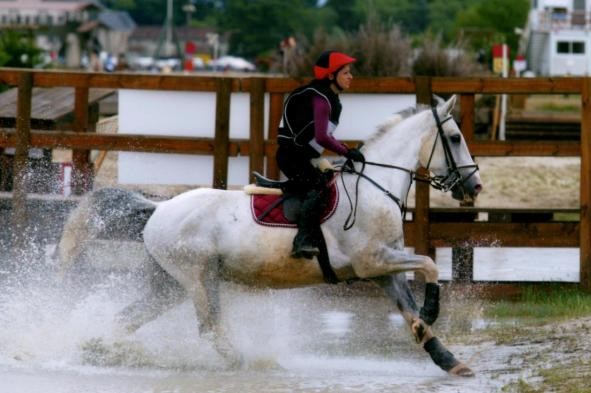 Photo de profil de crazy_smile