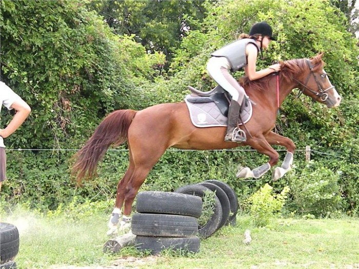 Photo de profil de cloclobugs26