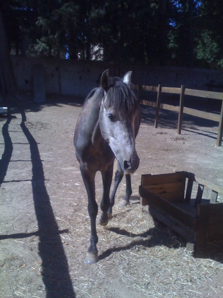 Photo de profil de scaff