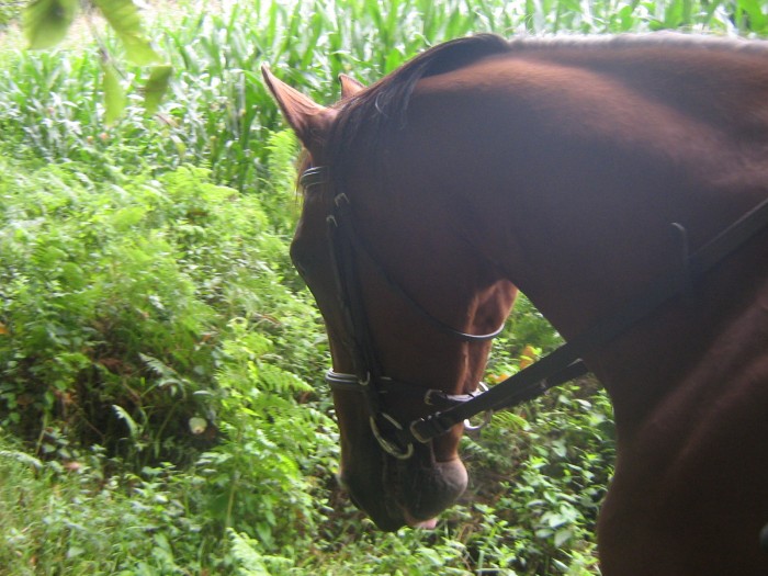Photo de profil de seraval