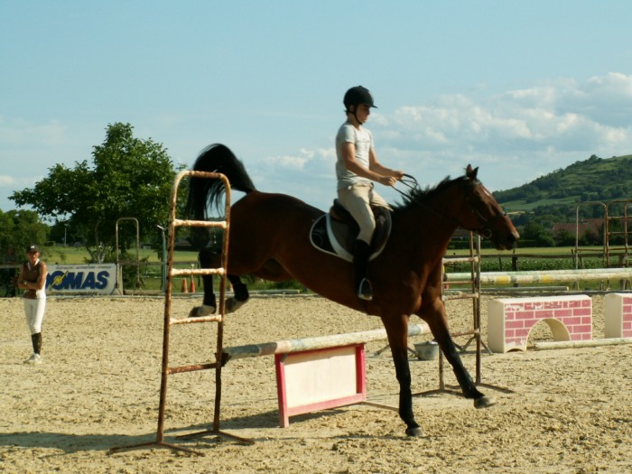 Photo de profil de icarus