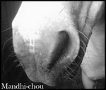 Photo de profil de mandhi.chou