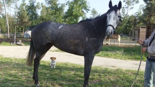 Photo de profil de grisette06