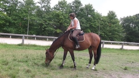 Photo de profil de qualypso