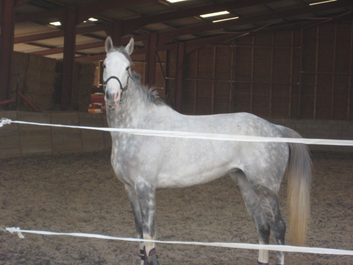 Photo de profil de crist