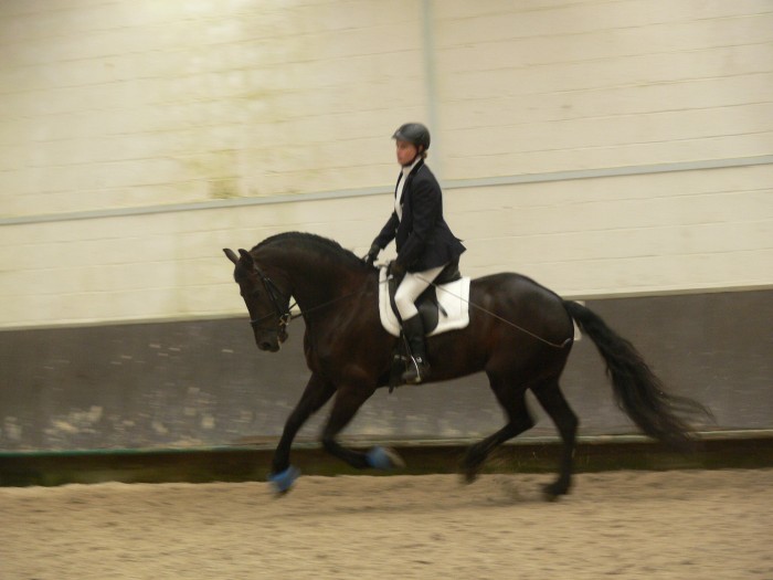 Photo de profil de tashka