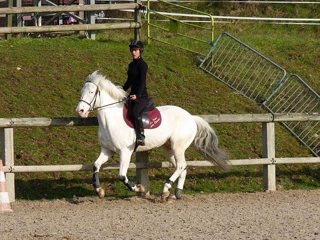 Photo de profil de carolineferreir