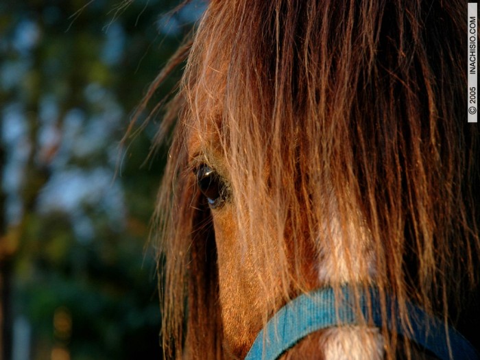 Photo de profil de esetelle