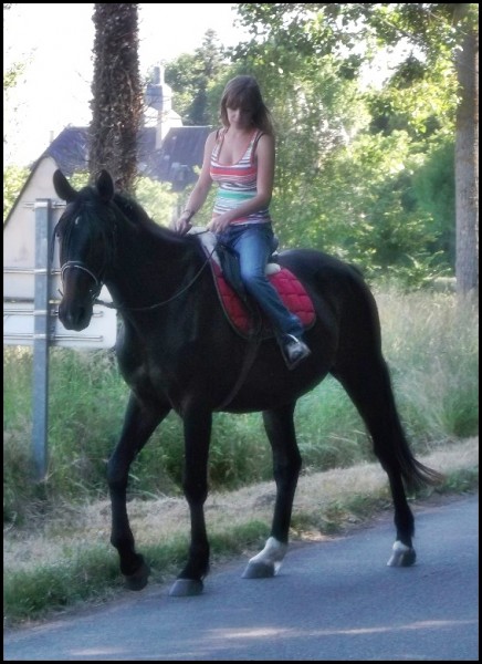 Photo de profil de mathorse