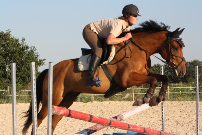 Photo de profil de tiftouf69