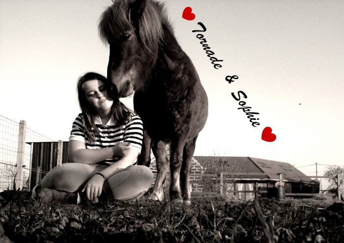 Photo de profil de tornadex3