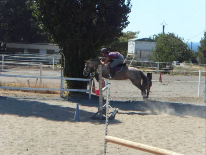 Photo de profil de lola52