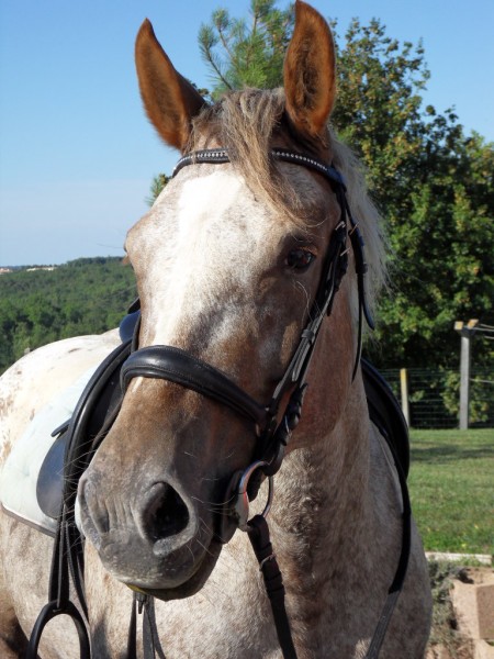 Photo de profil de cindydu16
