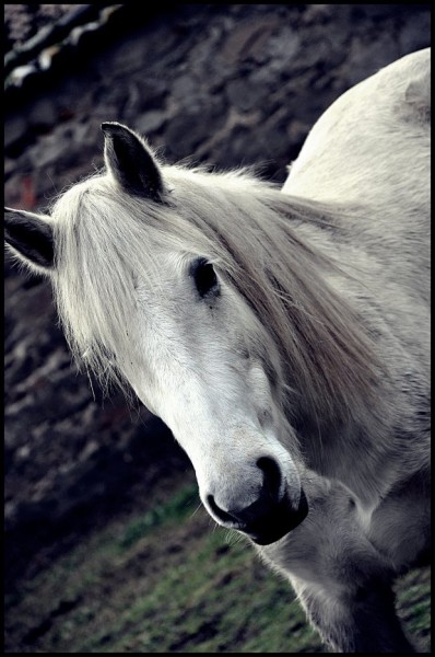 Photo de profil de mrc69