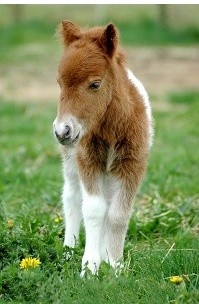 Photo de profil de darkside