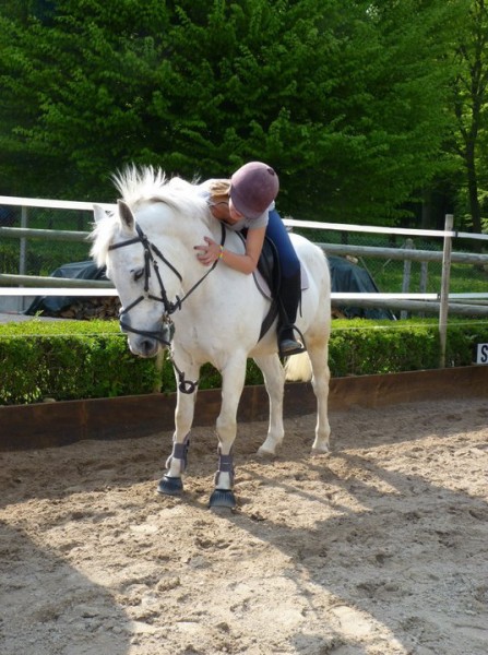 Photo de profil de horsesfansss