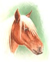 Photo de profil de loviahn