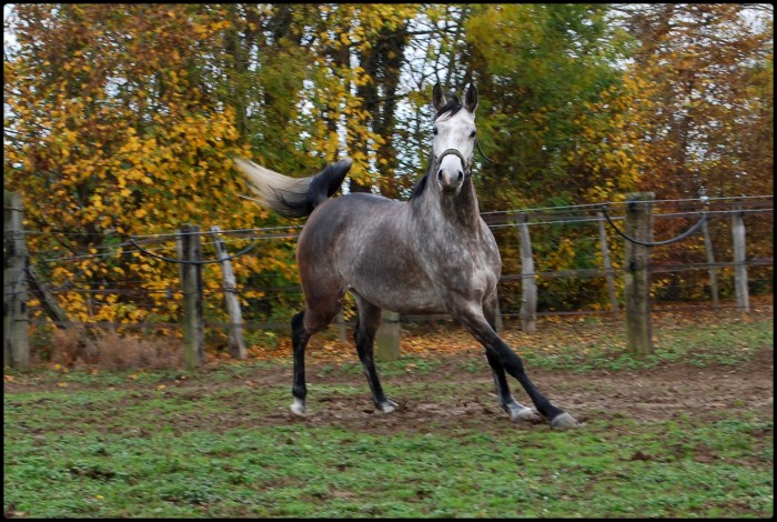 Photo de profil de kakoute