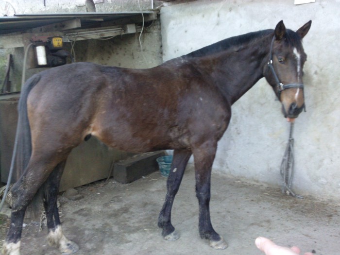 Photo de profil de take