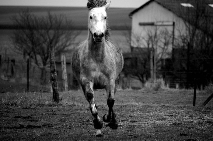 Photo de profil de soufflette
