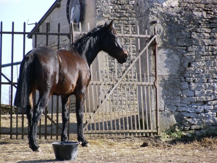 Photo de profil de fedora