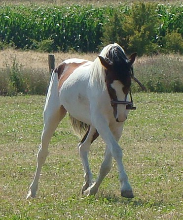 Photo de profil de mycrob