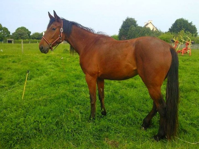 Photo de profil de safdjitay